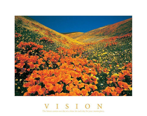 Vision - Edelweiss Flowers White Modern Wood Framed Art Print with Double Matting by Unknown