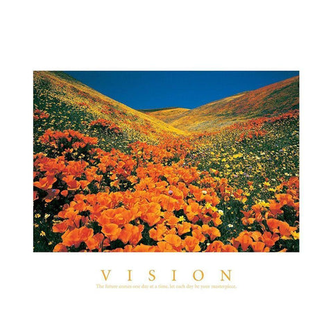 Vision - Edelweiss Flowers Gold Ornate Wood Framed Art Print with Double Matting by Unknown