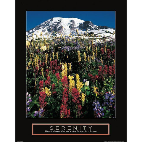 Mount Rainier Black Modern Wood Framed Art Print with Double Matting by Frontline