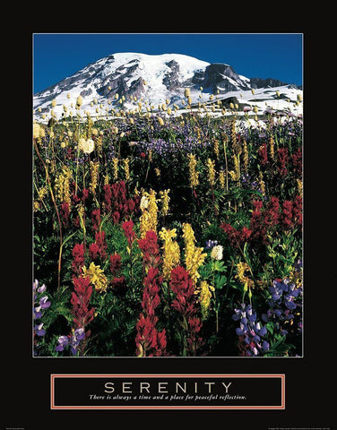 Mount Rainier White Modern Wood Framed Art Print with Double Matting by Frontline