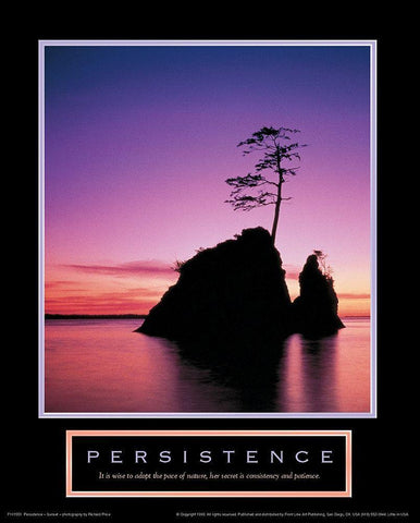 Persistence - Lonely Island Black Ornate Wood Framed Art Print with Double Matting by Unknown