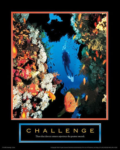 Challenge - Diver Black Ornate Wood Framed Art Print with Double Matting by Unknown