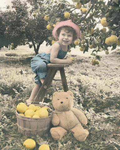 Girl Picking Apples White Modern Wood Framed Art Print with Double Matting by Unknown