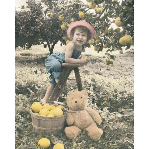 Girl Picking Apples Black Modern Wood Framed Art Print with Double Matting by Unknown