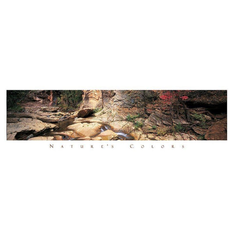 Rock Pond - Nature Black Modern Wood Framed Art Print by Unknown