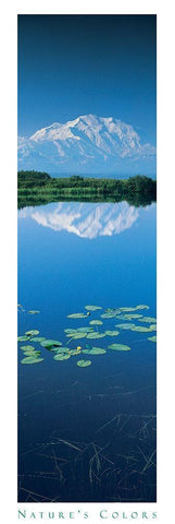 Mountain and Lilypads White Modern Wood Framed Art Print with Double Matting by Unknown