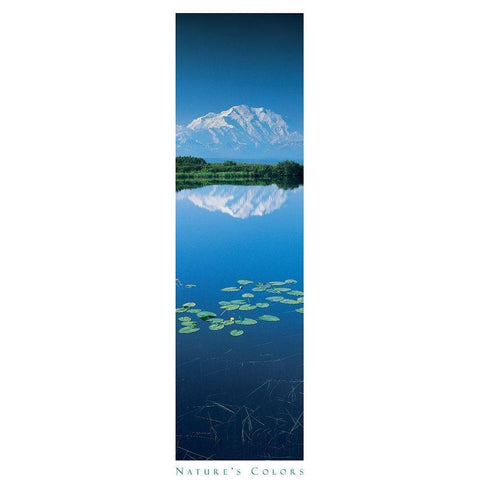 Mountain and Lilypads Black Modern Wood Framed Art Print by Unknown