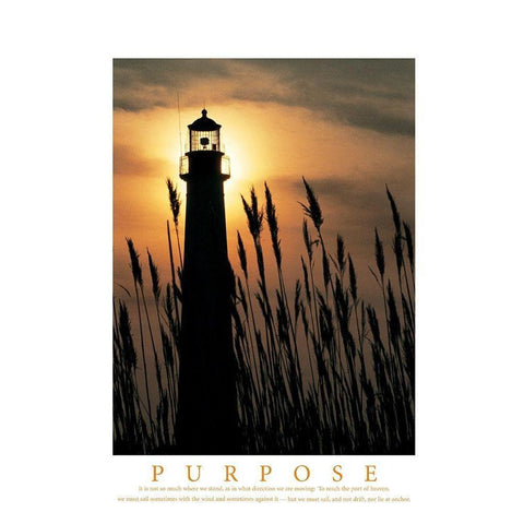 Purpose - Lighthouse in Reeds White Modern Wood Framed Art Print by Unknown