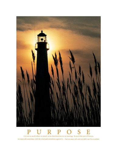 Purpose - Lighthouse in Reeds White Modern Wood Framed Art Print with Double Matting by Unknown