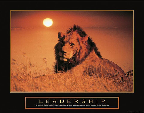 Leadership - Lion White Modern Wood Framed Art Print with Double Matting by Frontline