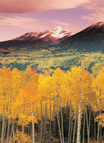 Mountain Valley White Modern Wood Framed Art Print with Double Matting by Unknown