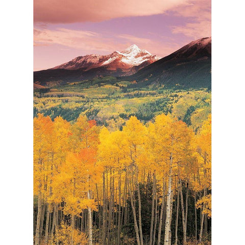 Mountain Valley Black Modern Wood Framed Art Print with Double Matting by Unknown