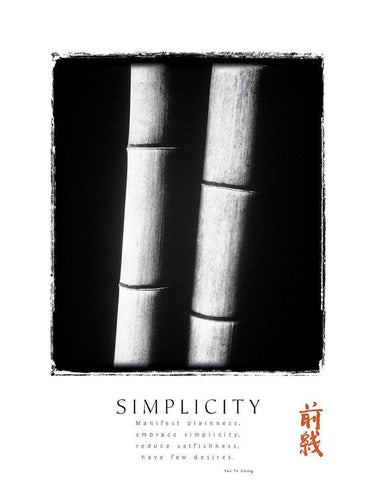 Simplicity White Modern Wood Framed Art Print with Double Matting by Unknown