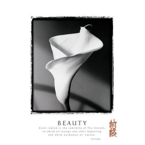Beauty - Lily Black Modern Wood Framed Art Print by Unknown