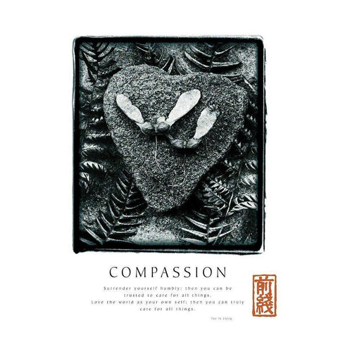 Compassion - Ferns Black Modern Wood Framed Art Print with Double Matting by Unknown