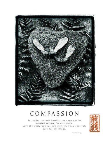 Compassion - Ferns White Modern Wood Framed Art Print with Double Matting by Unknown