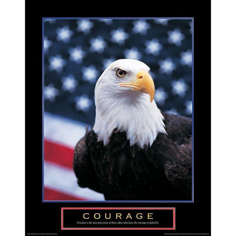 Courage - Eagle and Flag White Modern Wood Framed Art Print by Unknown