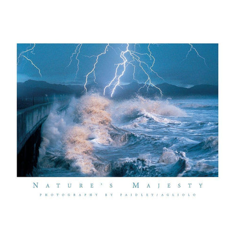 Lightning on Shore Gold Ornate Wood Framed Art Print with Double Matting by Unknown