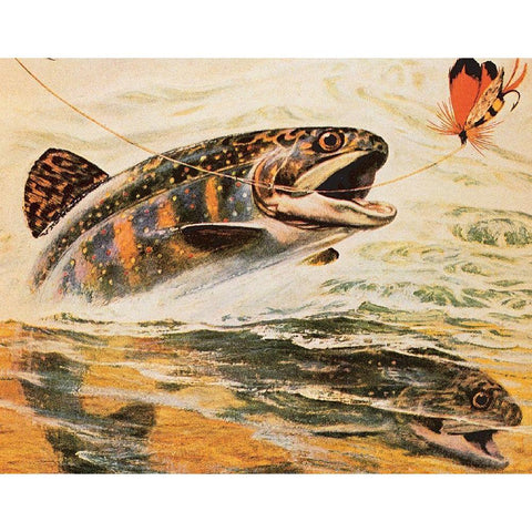 Trout and Fly Black Modern Wood Framed Art Print by Unknown