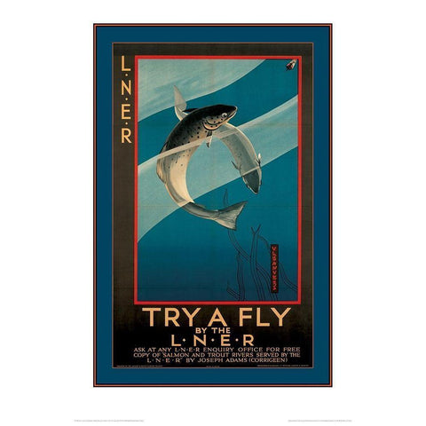 Try a Fly Black Modern Wood Framed Art Print with Double Matting by Unknown