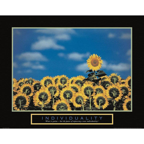 Individuality - Sunflowers White Modern Wood Framed Art Print by Unknown