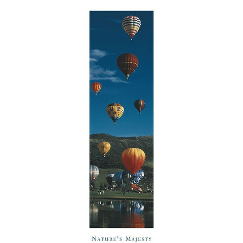 Balloons - Natures Majesty Gold Ornate Wood Framed Art Print with Double Matting by Unknown