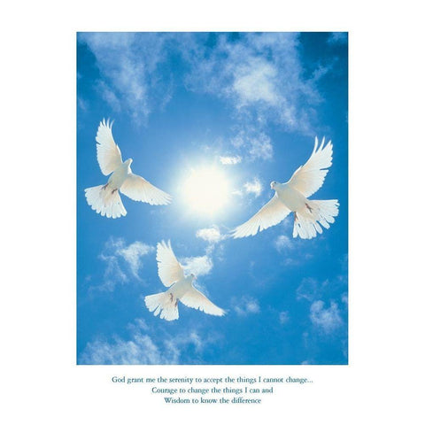 Dserenity - Doves White Modern Wood Framed Art Print by Frontline