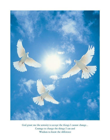 Dserenity - Doves White Modern Wood Framed Art Print with Double Matting by Frontline