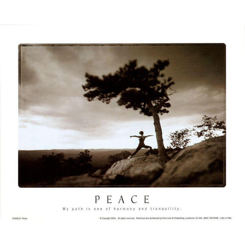 Zen - Peace Black Modern Wood Framed Art Print with Double Matting by Unknown