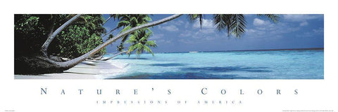 Natures Colors Palm Trees Black Ornate Wood Framed Art Print with Double Matting by Unknown