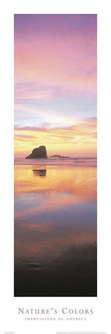 Natures Colors Beach White Modern Wood Framed Art Print with Double Matting by Unknown