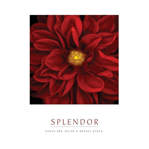 Splendor - Red Pool White Modern Wood Framed Art Print by Unknown