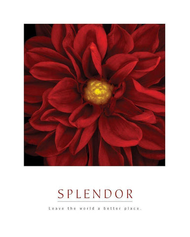 Splendor - Red Pool White Modern Wood Framed Art Print with Double Matting by Unknown