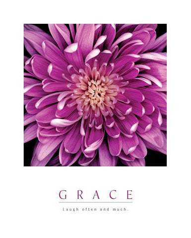 Grace - Purple Mum Black Ornate Wood Framed Art Print with Double Matting by Unknown
