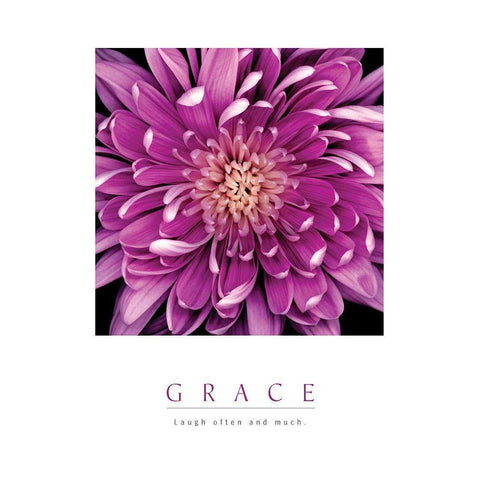 Grace - Purple Mum Black Modern Wood Framed Art Print by Unknown