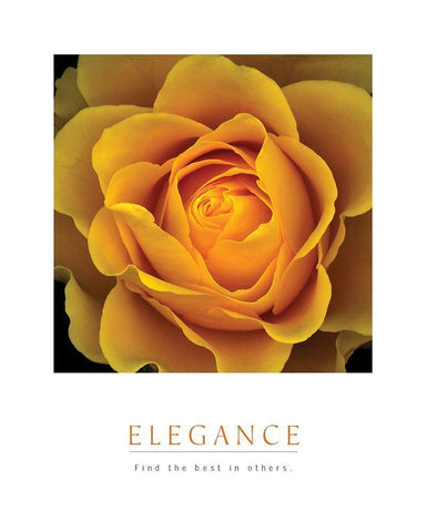 Elegance - Peach Rose Black Ornate Wood Framed Art Print with Double Matting by Unknown