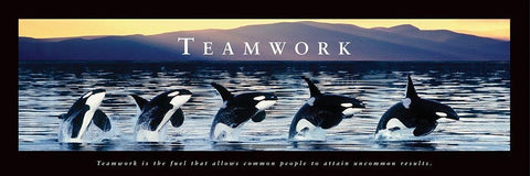 Teamwork - Whales White Modern Wood Framed Art Print with Double Matting by Frontline