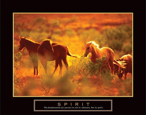 Spirit - Horses White Modern Wood Framed Art Print with Double Matting by Unknown