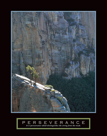 Perseverance - Canyon White Modern Wood Framed Art Print with Double Matting by Unknown