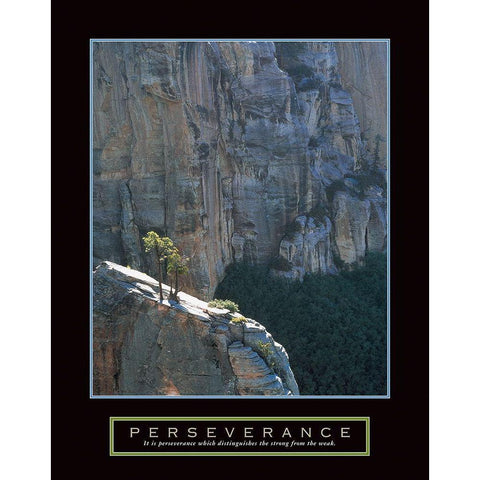 Perseverance - Canyon Gold Ornate Wood Framed Art Print with Double Matting by Unknown