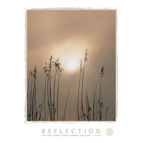 Reflection White Modern Wood Framed Art Print by Frontline