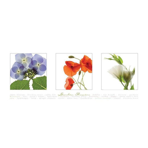 Garden Flowers III White Modern Wood Framed Art Print by Frontline