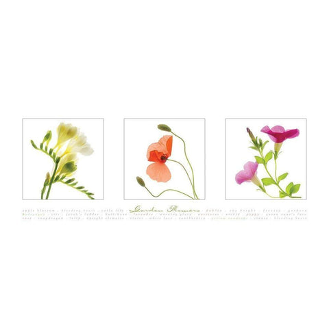 Garden Flowers II White Modern Wood Framed Art Print by Frontline