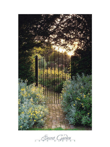 Secret Garden Black Ornate Wood Framed Art Print with Double Matting by Frontline