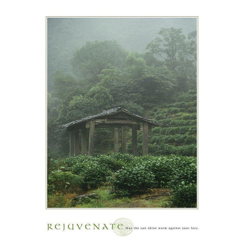 Rejuvenate - Pagoda Black Modern Wood Framed Art Print with Double Matting by Frontline