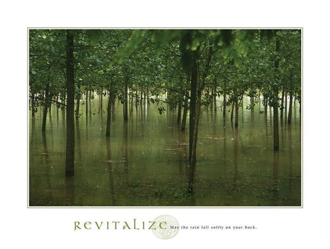 Revitalize - Forest White Modern Wood Framed Art Print with Double Matting by Frontline