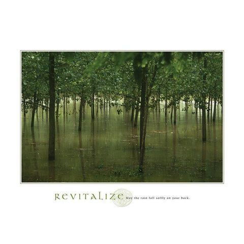 Revitalize - Forest Black Modern Wood Framed Art Print with Double Matting by Frontline