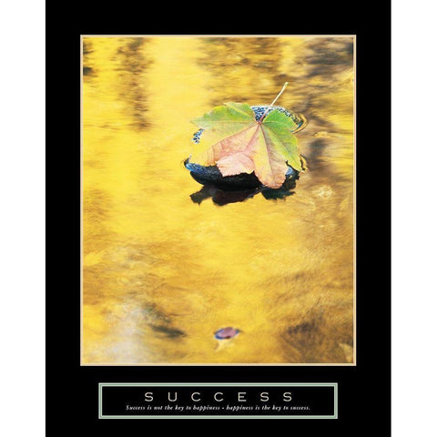 Success - Leaf Black Modern Wood Framed Art Print with Double Matting by Frontline