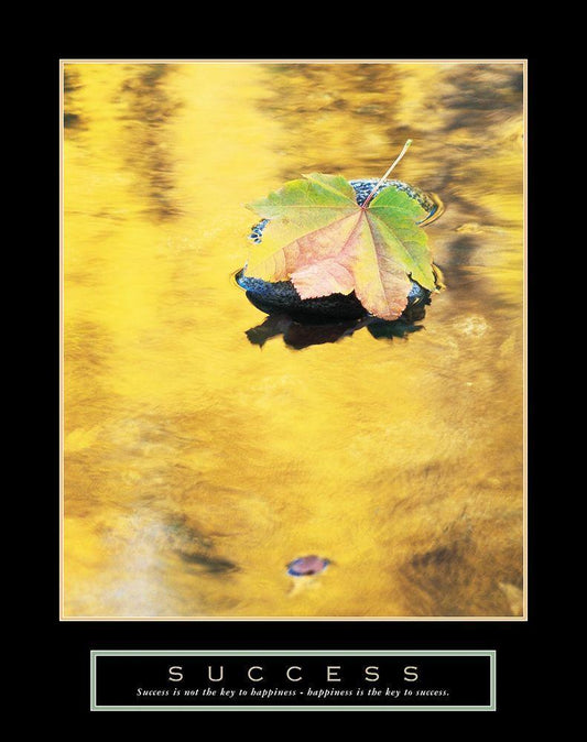 Image Only