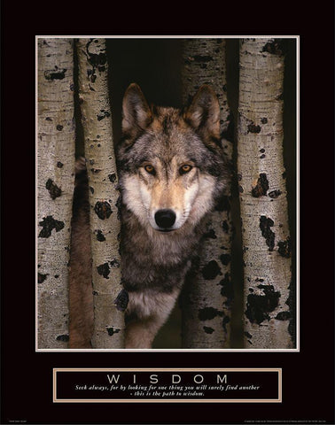 Wisdom - Grey Wolf Black Ornate Wood Framed Art Print with Double Matting by Frontline